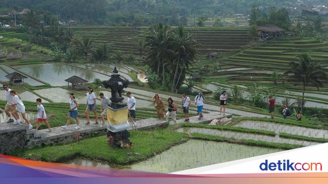 Geber Investasi, Pemda Bali Siapkan Insentif ke Investor