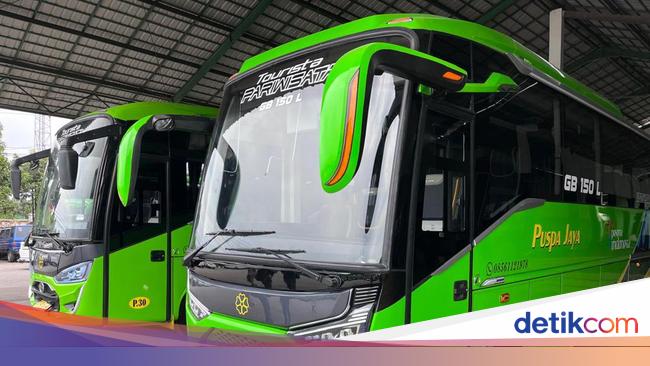 PO Puspa Jaya Rilis Armada Baru, Pakai Sasis Hino dan Bodi Laksana