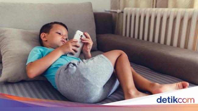 Aturan Baru: Batas Usia Akses Media Sosial untuk Lindungi Anak