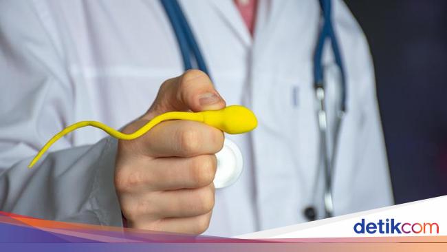 Studi Ungkap Kaitan Kualitas Sperma Pria dan Umur Panjang, Begini Temuannya