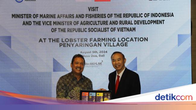Sinergi RI-Vietnam Hasilkan Transformasi Budi Daya Lobster di Dalam Negeri