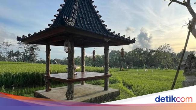 Daya Tarik dan Aktivitas yang Bisa Dilakukan di Desa Keliki Gianyar