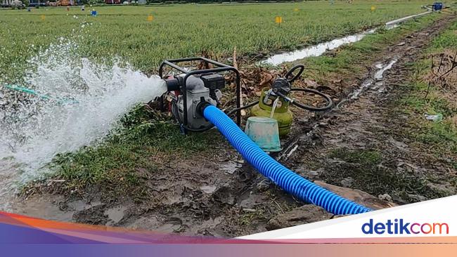 Kementan Tegaskan Pompanisasi Berdampak Positif pada Produksi Padi Nasional