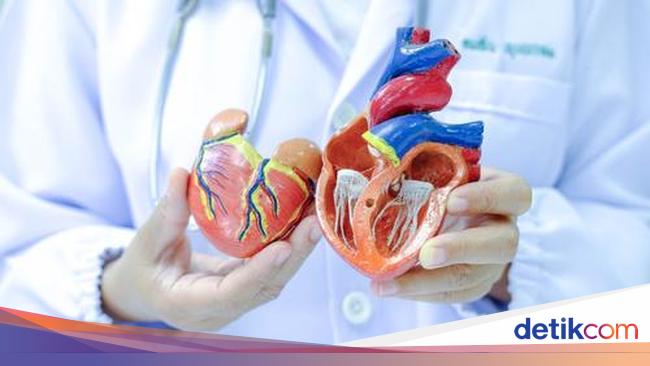 Perbaikan Katup Tanpa Operasi Besar Pulihkan Penyakit Jantung Rematik