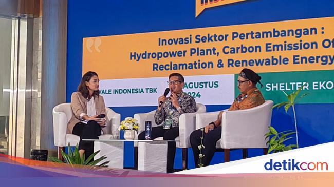 Jurus Vale Tekan Emisi Karbon Lewat 3 Pembangkit EBT