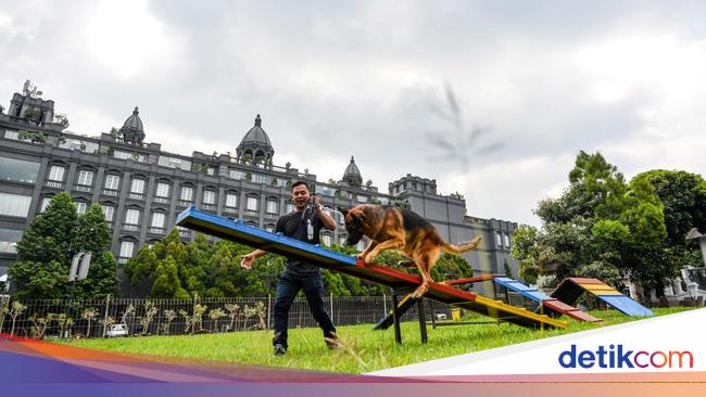Wow! Ada Hotel Hewan Peliharaan Pertama di Bandung