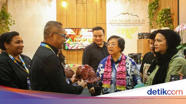 Menteri LHK Kepincut Program Restorasi Mangrove PT Freeport Indonesia