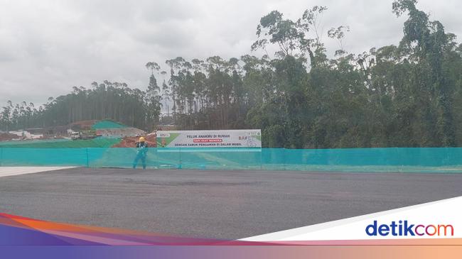 Jelang 17 Agustus Masih Ada 2.086 Hektare Lahan IKN Bermasalah