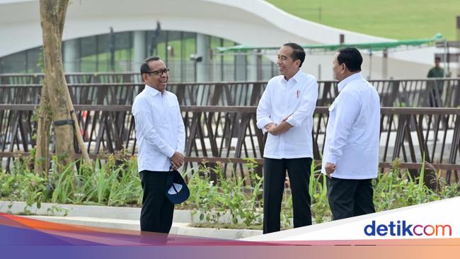 Cerita Jokowi Nginap di IKN: Keluar Rumah Udara Sangat Segar Sekali