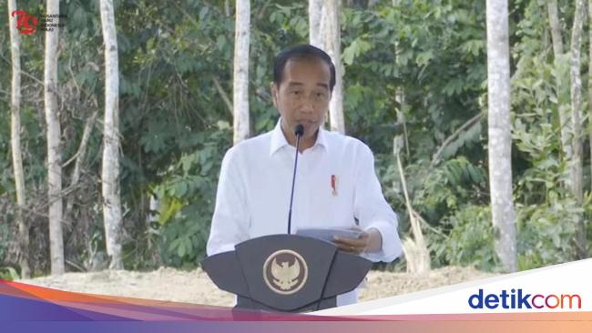 ジョコウィ大統領は当初、インドネシア独立記念日にIKNで8,000人のゲストを招待したいと考えていたが、ホテルが足りなかった