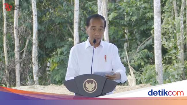 Jokowi Minta Gubernur-Bupati Contoh IKN, Bangun Kota Ajak Investor
