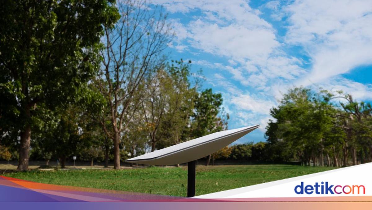 Aktivis Iran Desak AS Aktifkan Starlink Direct-to-Cell untuk Atasi Pemadaman Internet