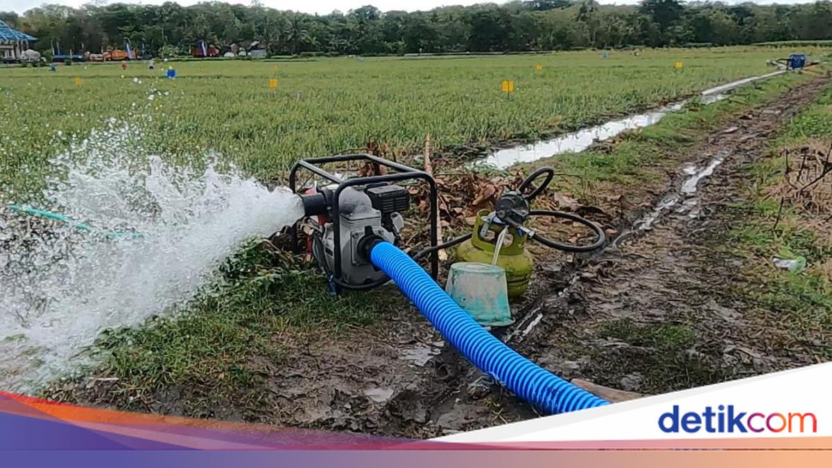 Jaga-jaga Sawah Terdampak Kemarau, 56.000 Pompa Air Disiapkan
