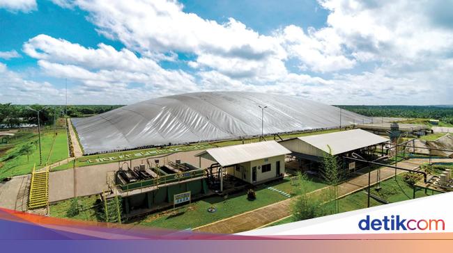 Musim Mas Bagi Pengalaman soal Konservasi dan Pengurangan Emisi GRK