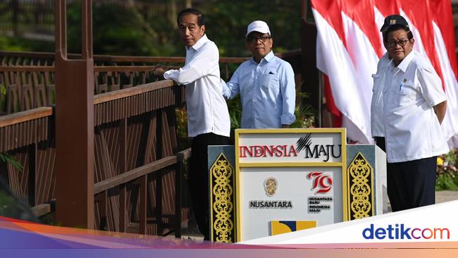 Jokowi Ungkap 55 Investor Masuk IKN, Ini Daftar Sektor yang Digarap