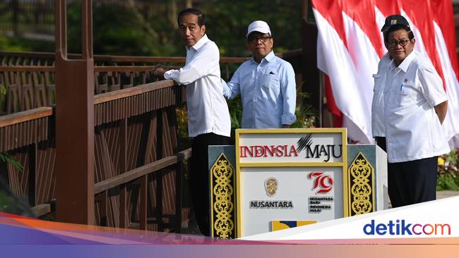 Jokowi Ungkap 55 Investor Masuk IKN, Ini Daftar Sektor yang Digarap