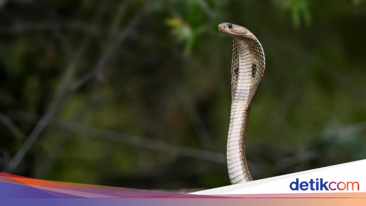 Ular ayolni hamma teshiklarda sikadilar Ular ayolni hamma teshiklarda sikadilar