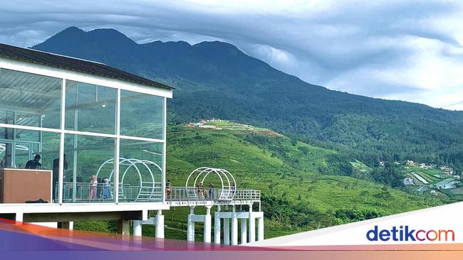 Ulasan Kemuning Sky Hills 2025, Pemandangan Stunning di Tengah Kebun Teh