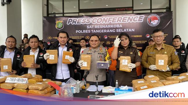 Selain dalam Bentuk Kue, Polisi Juga Sita 140 Kg Daun Ganja dari 3 Tersangka