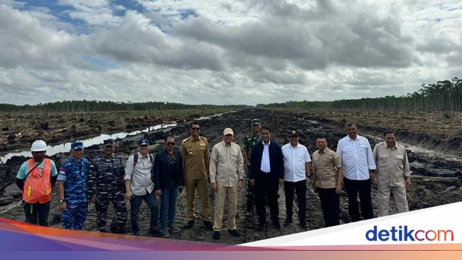 Mentan Komitmen Jadikan Merauke Lumbung Pangan Dunia