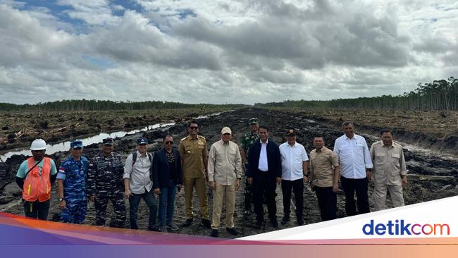 Mentan Komitmen Jadikan Merauke Lumbung Pangan Dunia