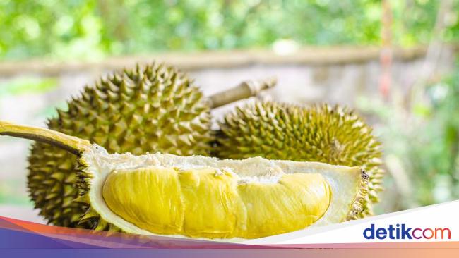 Penjual Paksa Kembalikan Uang hingga Pedagang Durian Kena Tipu