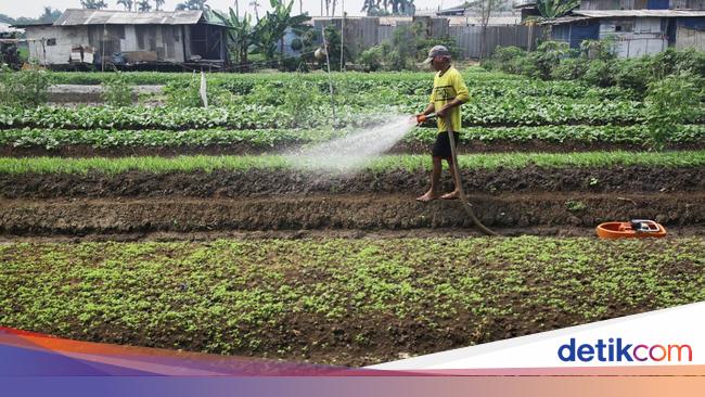 ATR/BPN Terjunkan Tim Khusus Urus Lahan buat Transmigran ke Sulteng