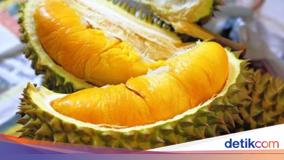 5 Aksi Nekat Pencuri Durian, Bikin Penjual Rugi hingga Serang Petani!