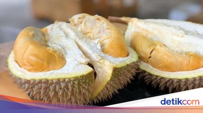 Mantap! Ini 5 Durian Unggulan Asli Sumatera yang Legit Harum