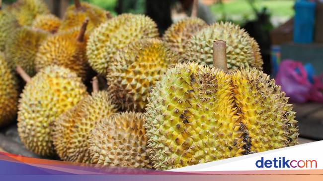 Thailand Pakai Aplikasi Digital untuk Genjot Produksi Durian