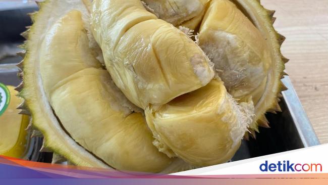 5 Manfaat Luar Biasa Makan Durian untuk Kesehatan Tubuh