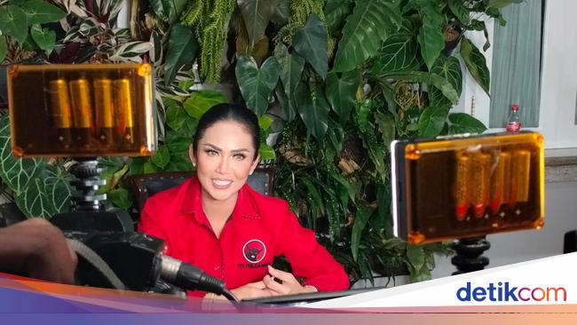 Kris Dayanti Soroti Angka Kematian Bayi Tinggi, Minta UU KIA Dioptimalkan