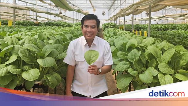 Produksi Beras Agustus-Oktober Naik, Program Pompanisasi Dinilai Berhasil