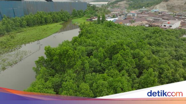 Respons Dugaan Pelanggaran Lingkungan, PT IMIP Buka Suara
