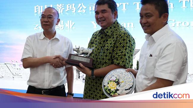 Perkuat Posisi di Pasar Global, Timah Gandeng Perusahaan China