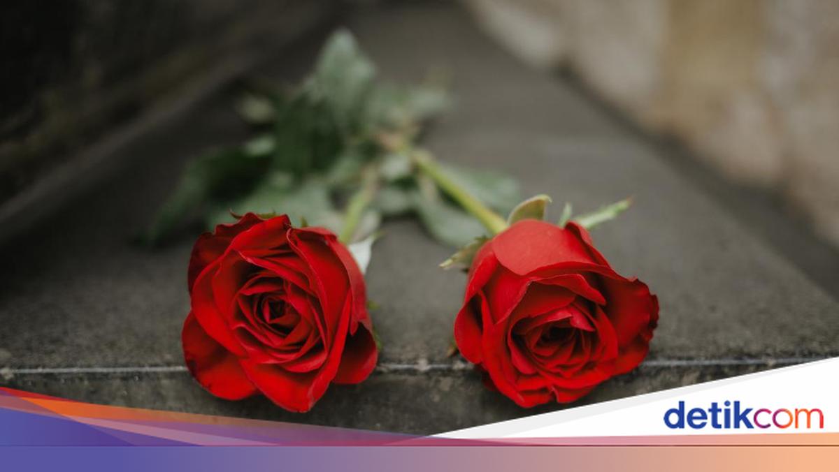 Personel Ditlantas Polda Metro Tewas Saat Bantu Truk Mogok di Tol JORR