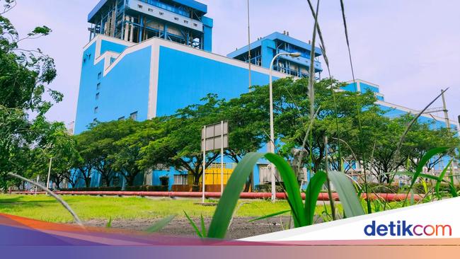PLN IP Bakal Pakai Green Ammonia buat Bahan Bakar PLTU Labuan
