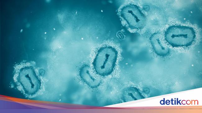 Traveler Wajib Hati-hati! Waspada Penyebaran Virus saat Berlibur