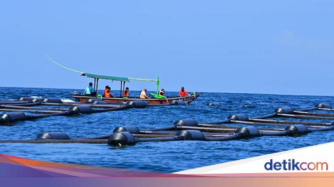 PT Ratuworld Aquaculture Dukung Pemerintah Wujudkan Ekonomi Biru