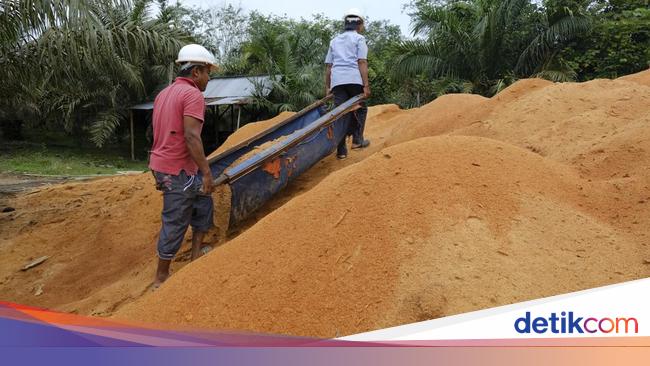 PLTU Ombilin Manfaatkan Serbuk Kayu Jadi Energi Alternatif
