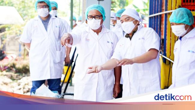 Bansos Telur dan Ayam Dimulai Lagi buat 1,4 Juta Penerima