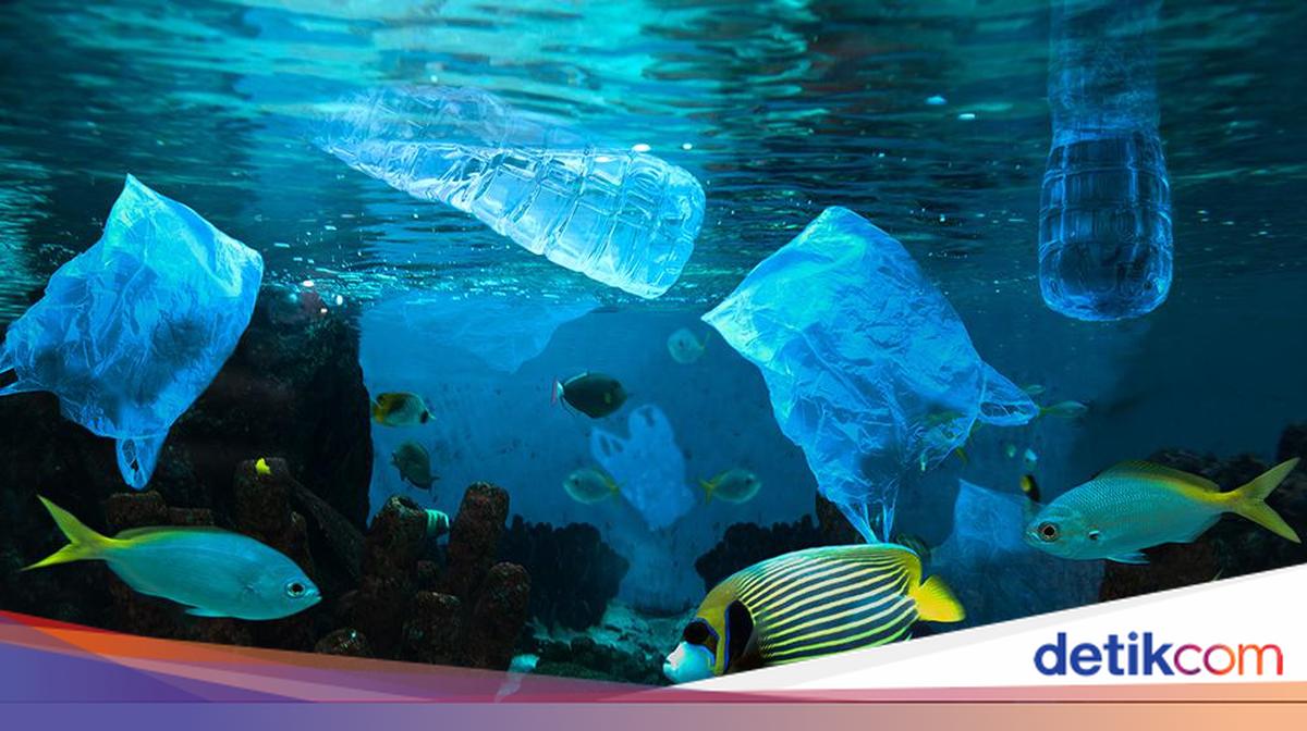 BRIN Temukan Mikroplastik hingga Kedalaman 2.450 Meter di Laut RI