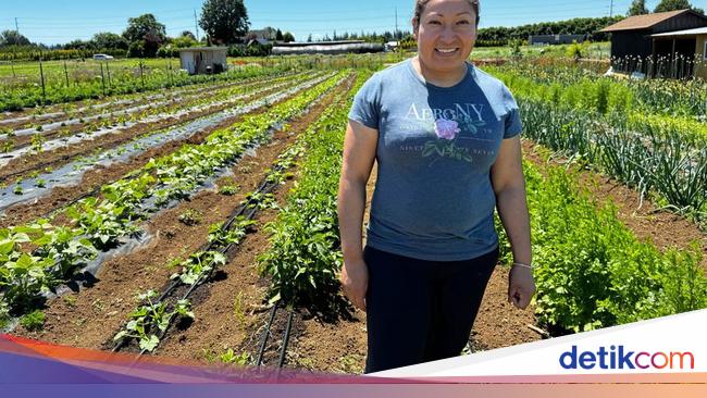 Tanam Buah dan Sayur, Petani Ini Sukses Raup Cuan Berlimpah