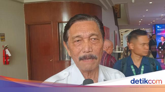 Pengakuan Luhut Lihat IKN Sekarang: Bagus, Banyak Pohon Hijau
