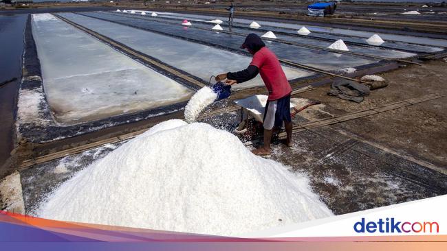 Bangun Sentra Garam Industri di Rote, KKP Siapkan Anggaran Rp 750 M