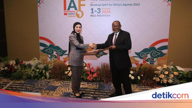 BUMN Energi Tanzania-Pertamina Jajaki Peluang Baru Sektor Hulu Migas