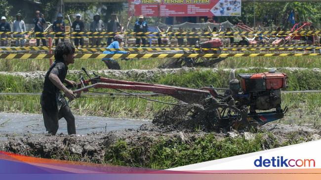 Begini Peran Penting Teknologi Pertanian ke Industri Pangan