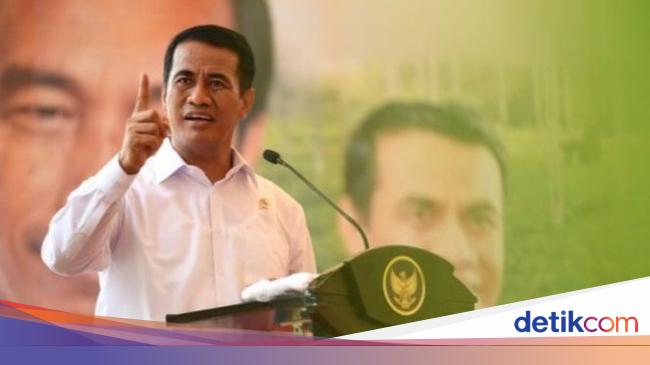 100 Ribu Sapi dari Brasil Bakal Dikembangkan di RI