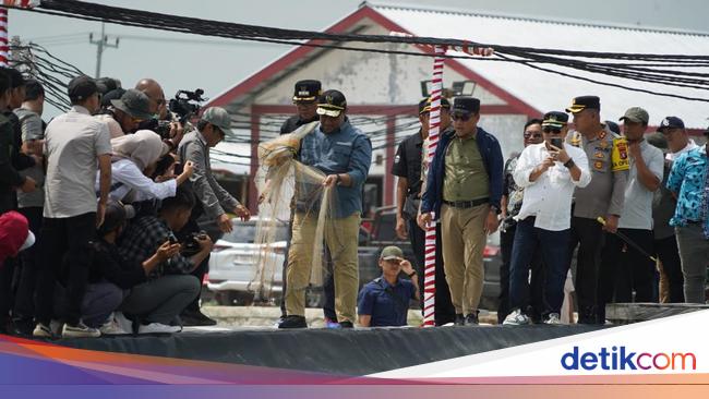 Wagub Kalteng Edy Pratowo Panen Perdana Udang Vaname di Shrimp Estate Berkah