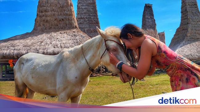 Berkuda di Sumba adalah Liburan Terbaik!